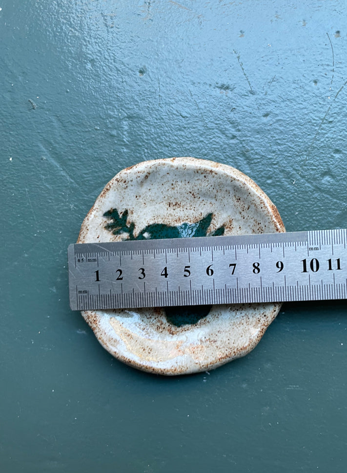 Little plate