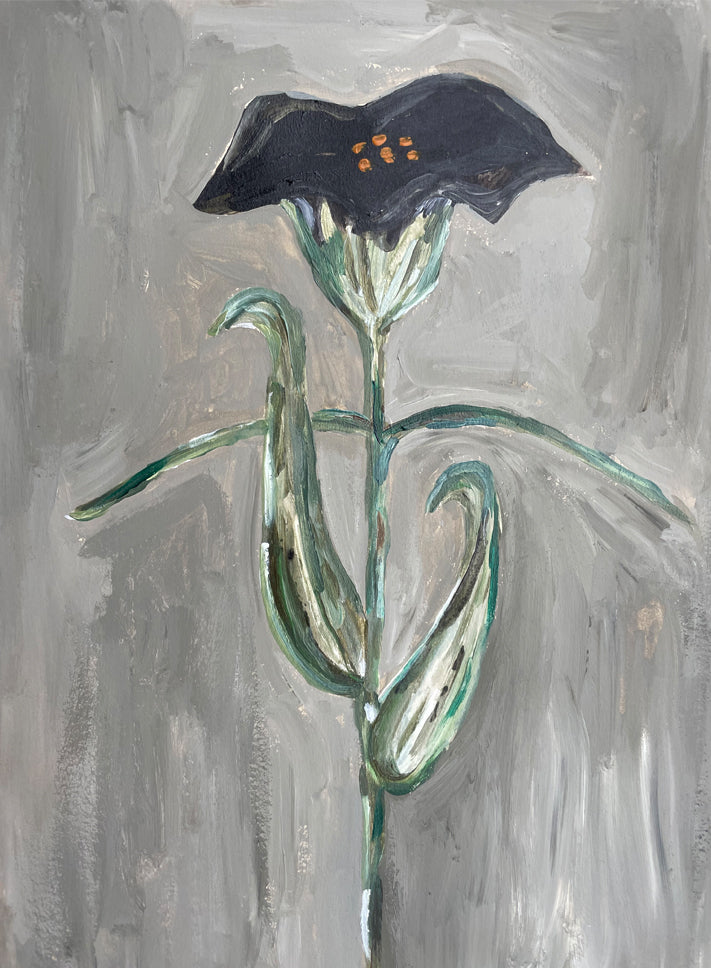 Flower -