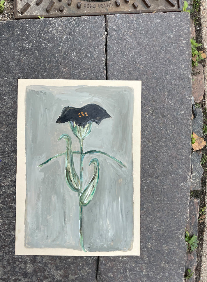 Flower -